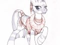 1374885710.ecmajor_z-zecora-web.jpg